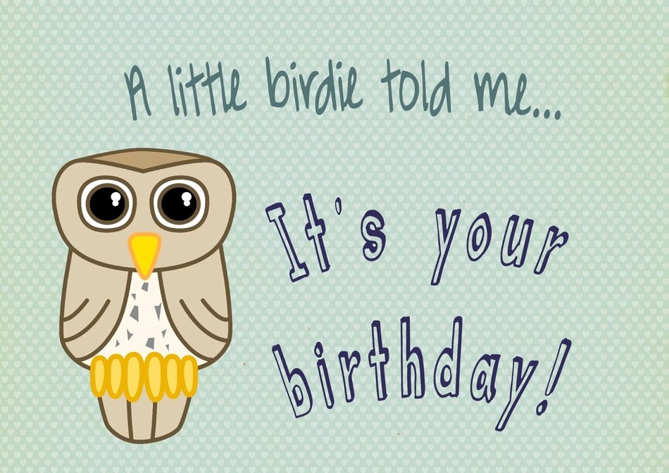 owl bird birthday card blue