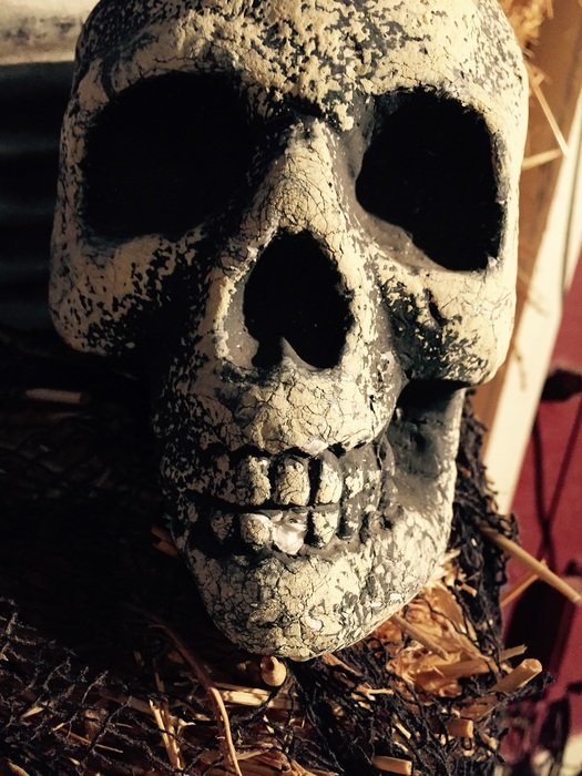 skull halloween background