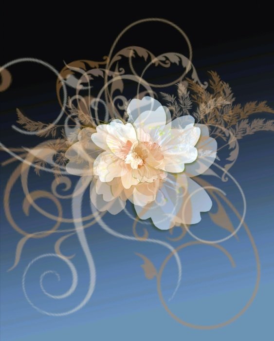 flowers ornament fantasy abstract