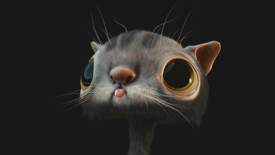 cat eyes face s