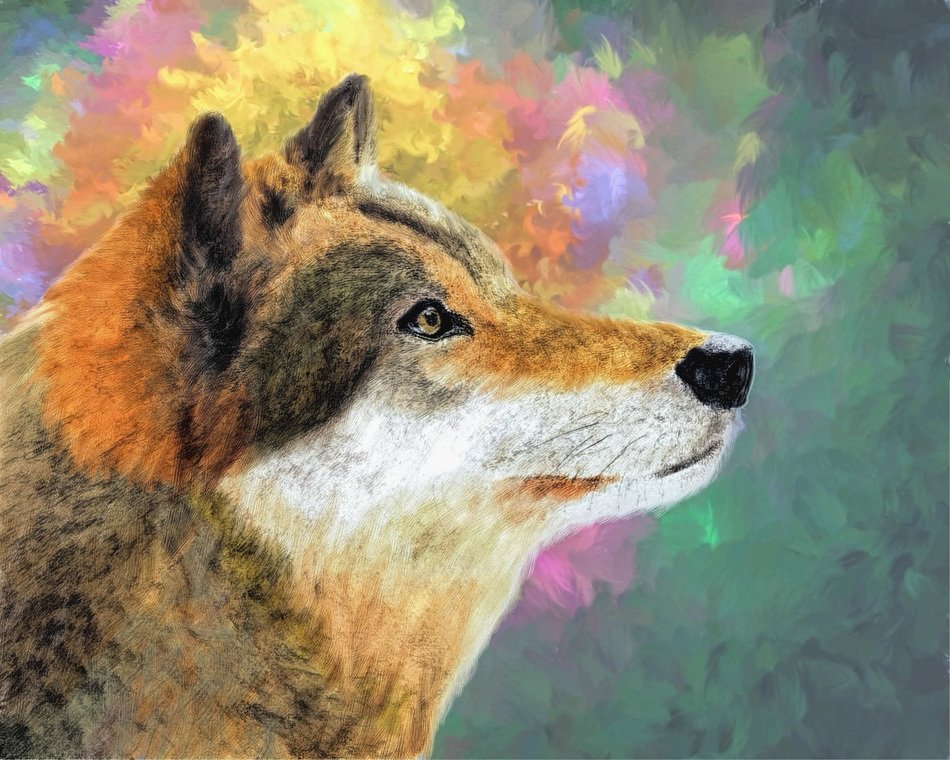 wolf digital art and painting