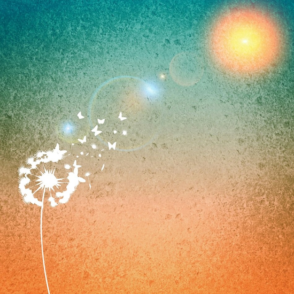 background sun dandelion