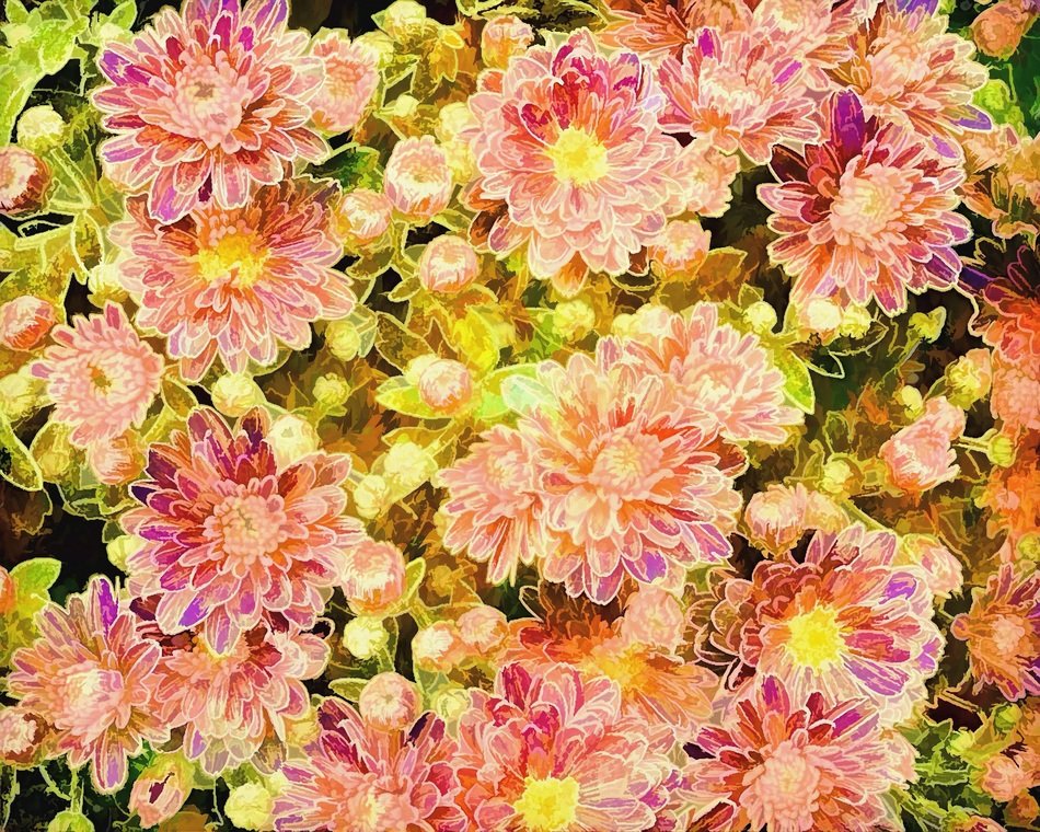 abstract pattern flowers decoration