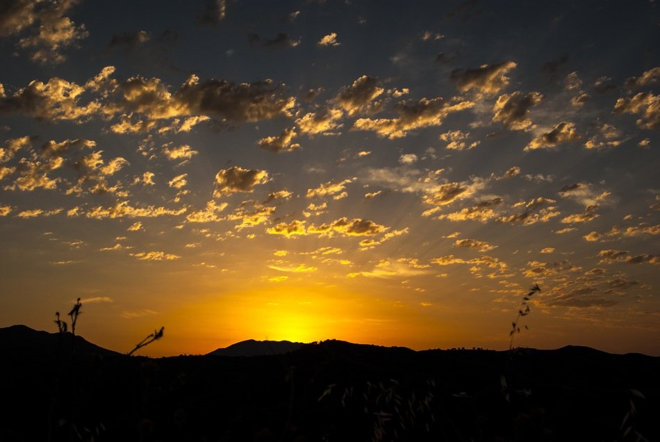 scenic wallpaper with sunset