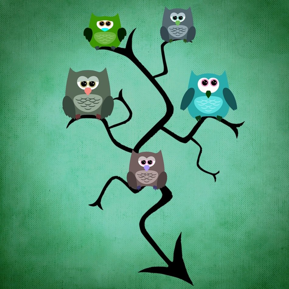 owl tree funny background colorful