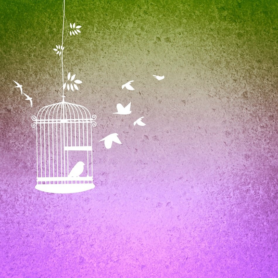 bird cage birds background