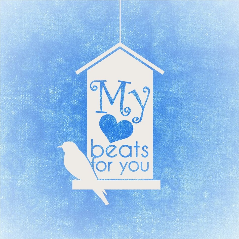 heart valentine love bird aviary