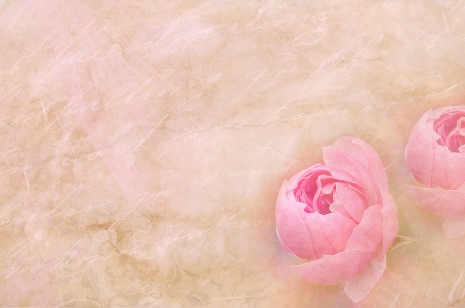 stationery paper flowers font