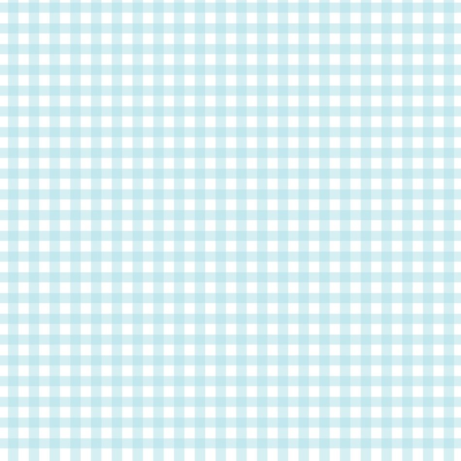 checks gingham checked blue white