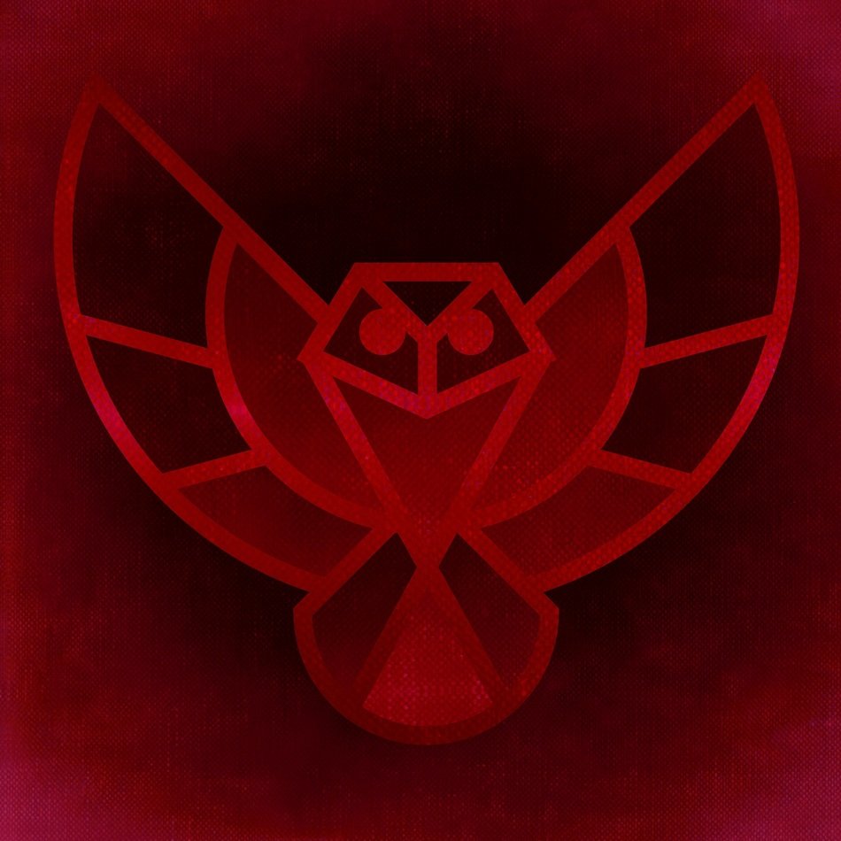 bird owl eagle fragment