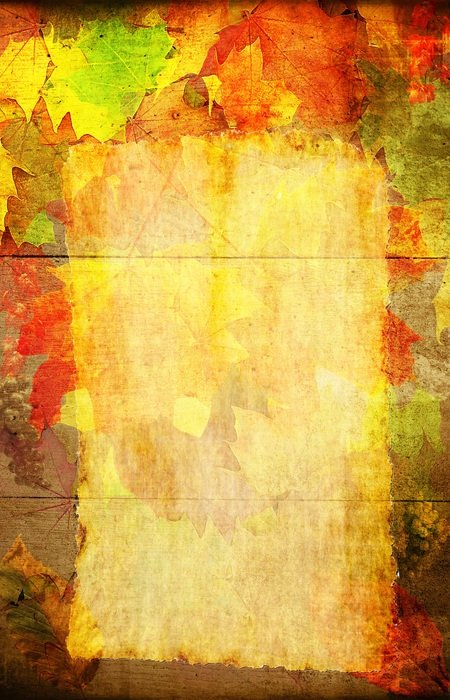autumn colorful background grunge