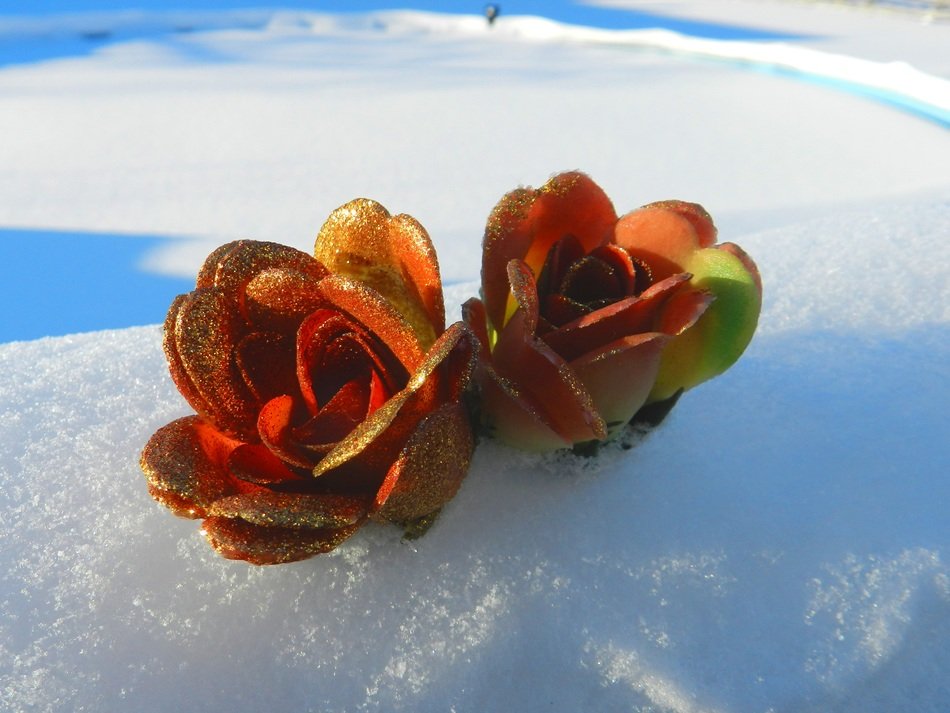 decorative buds in the snow