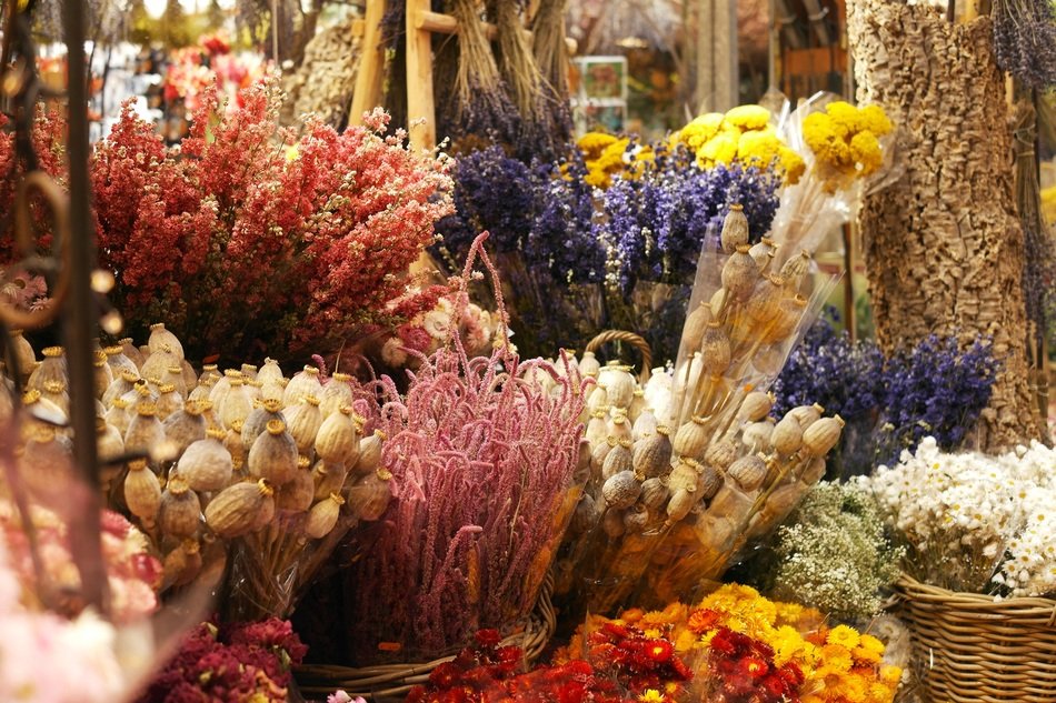flowers flower collection bouquet