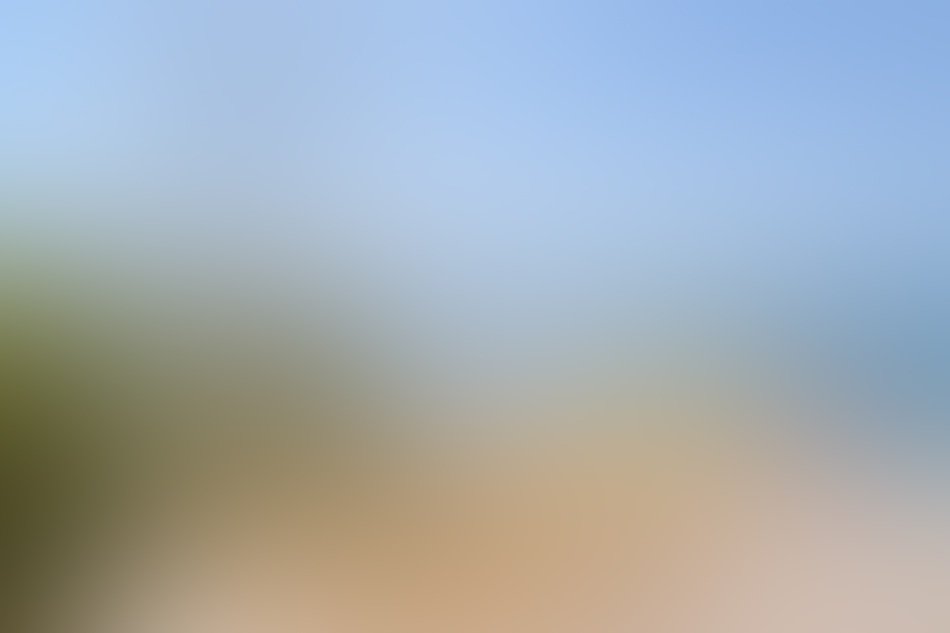 the blurred background