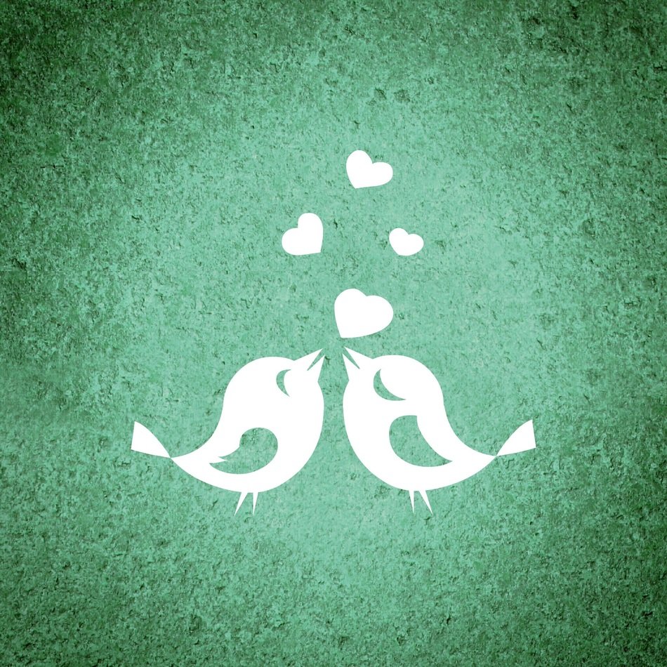 background birds heart