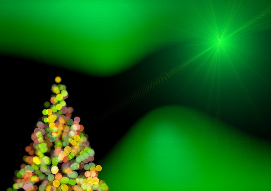 christmas tree green structure