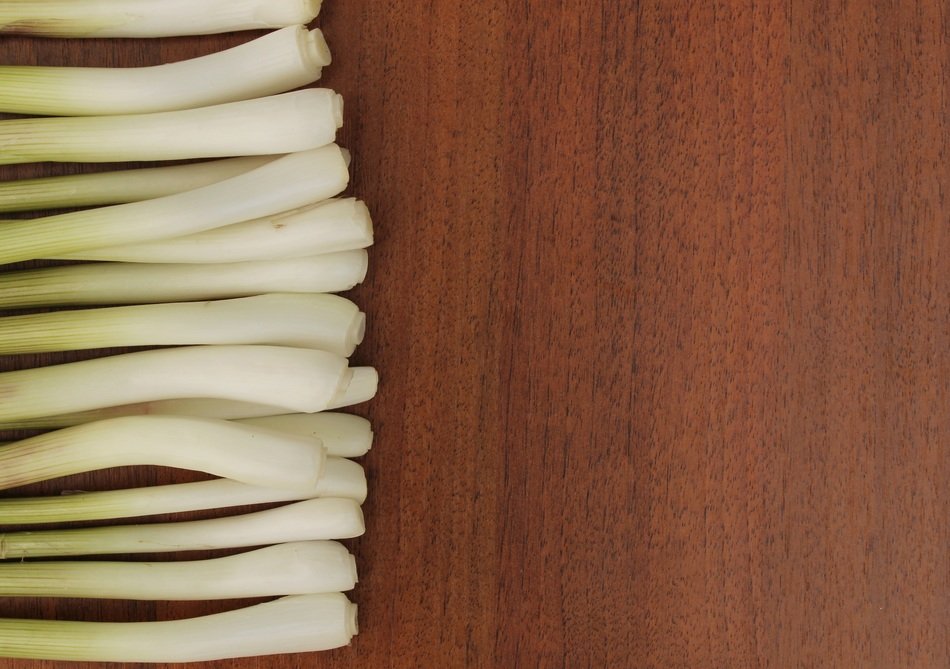 onions herbs plant