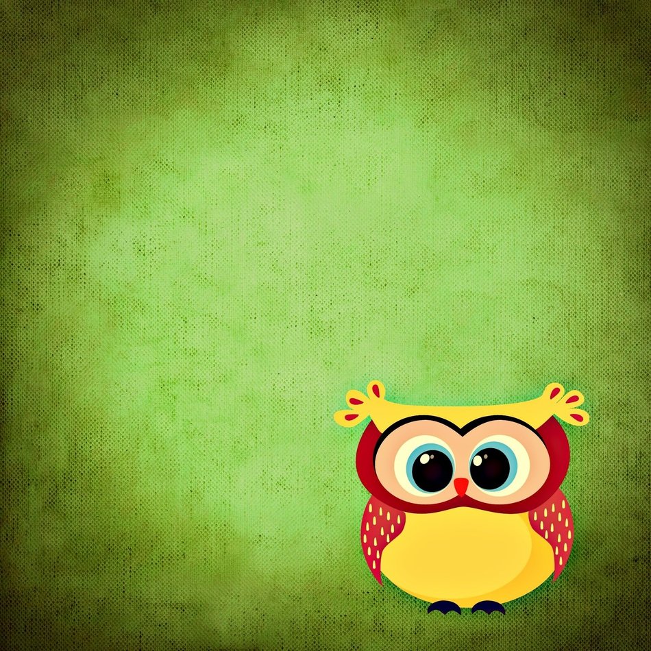 Colorful funny owl on the green background free image download