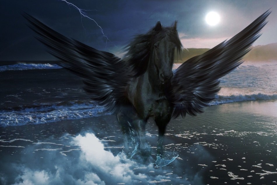 pegasus sea water sky clouds wing
