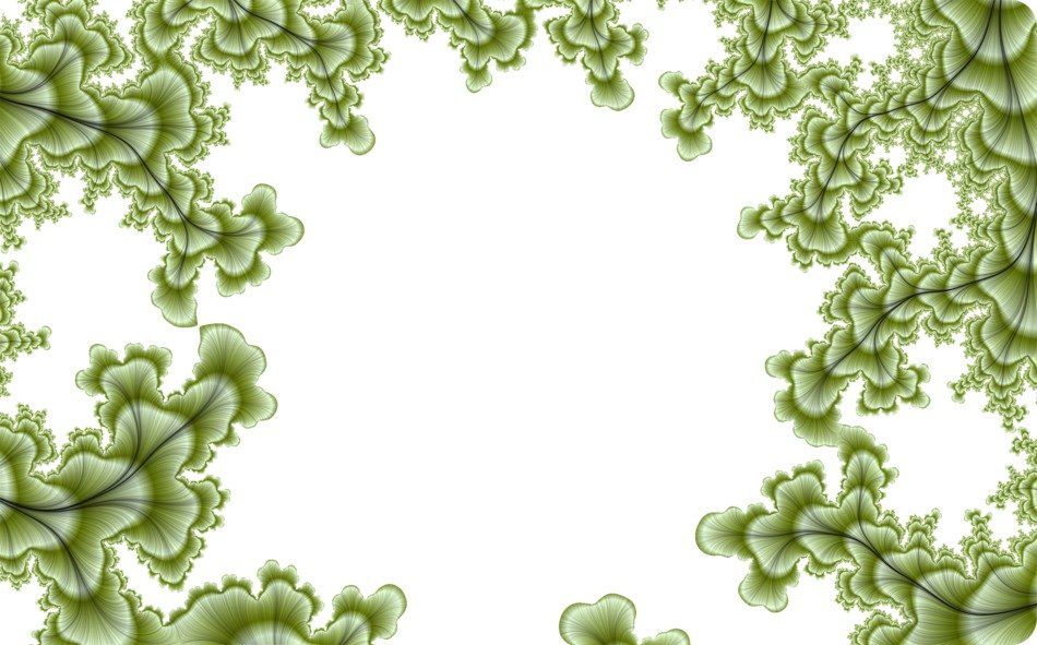 fractal background leaf leaves