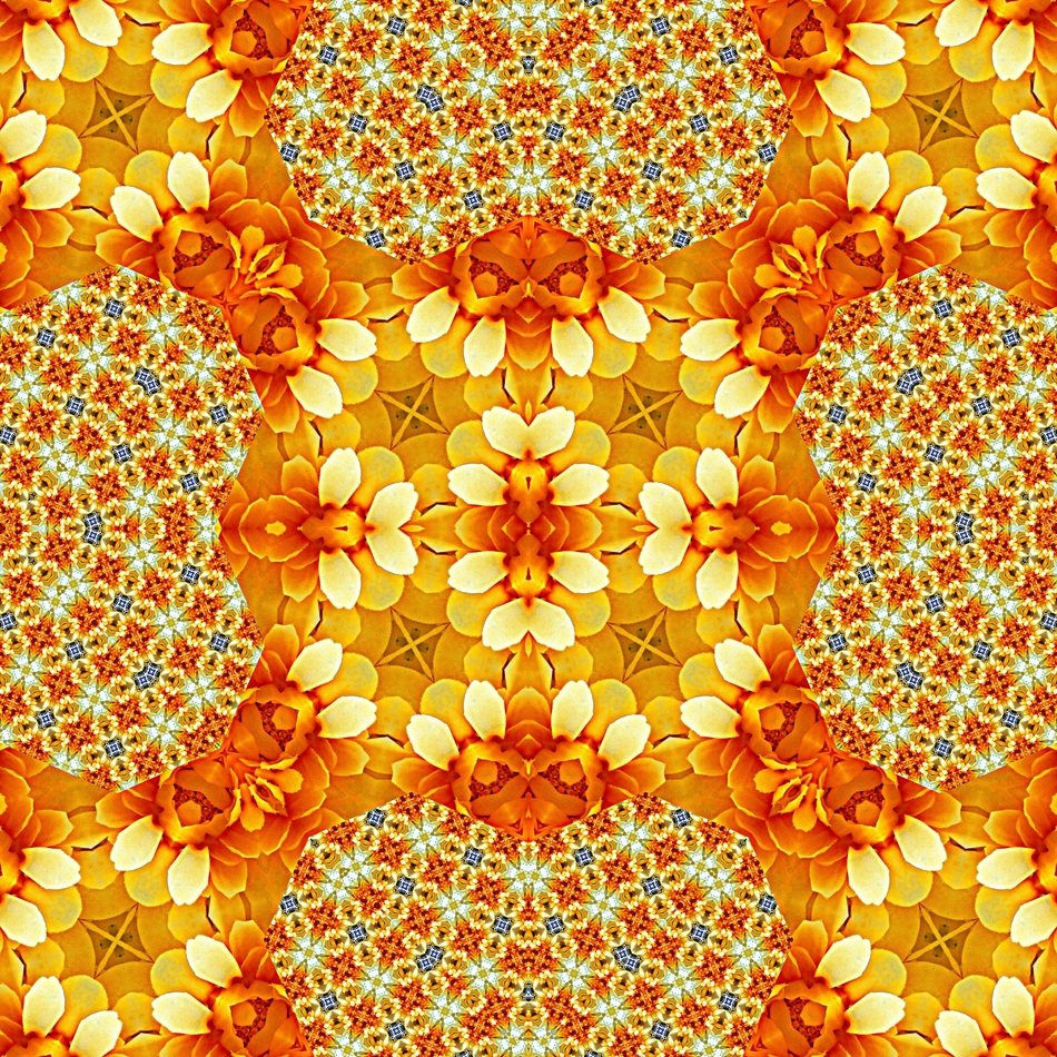 beautiful flower wallpaper
