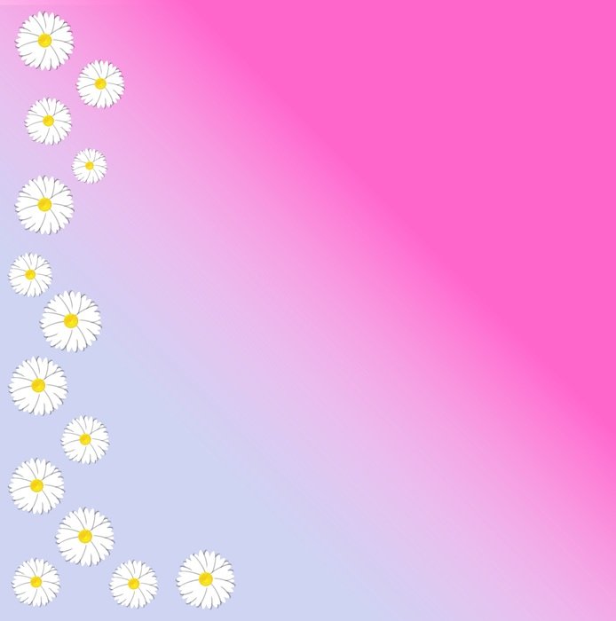 daisy flower daisies graphic
