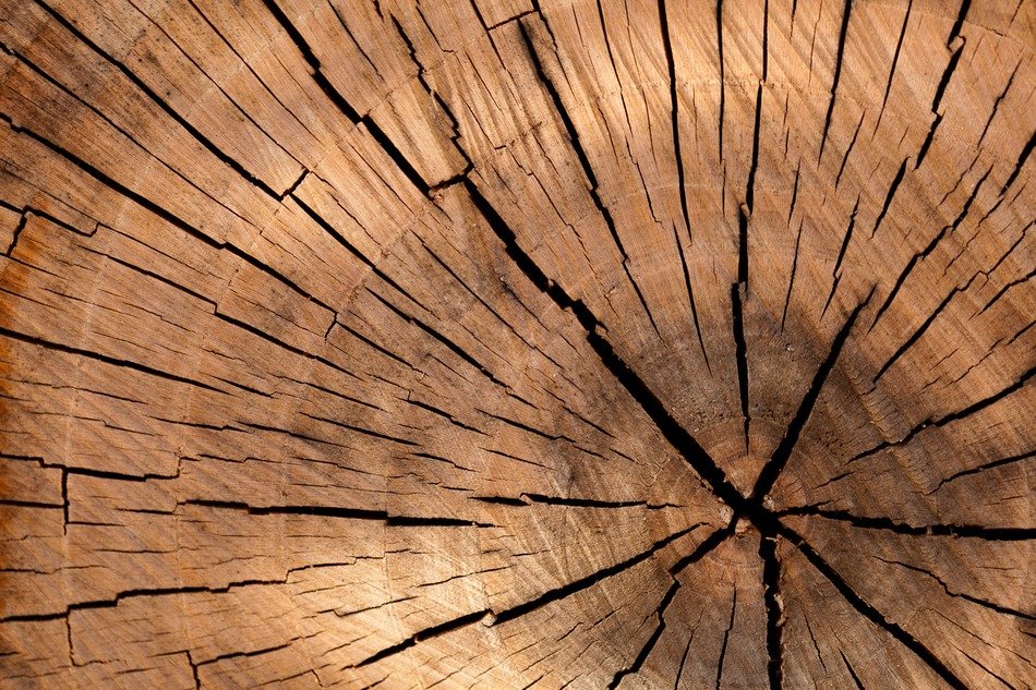 background brown circle cut detail