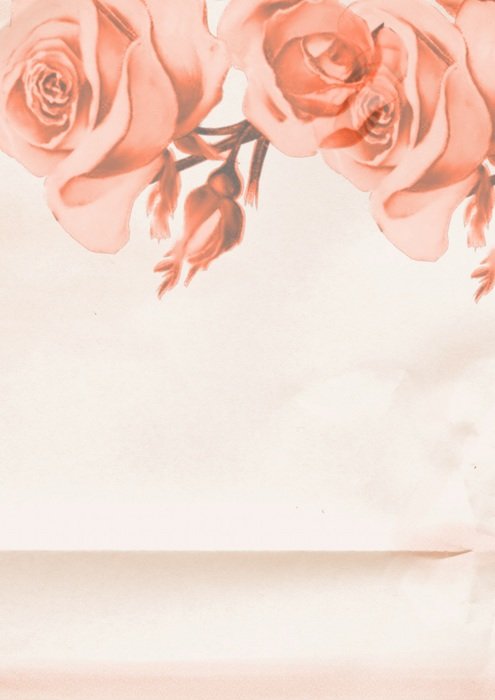 rose paper pink soft romantic