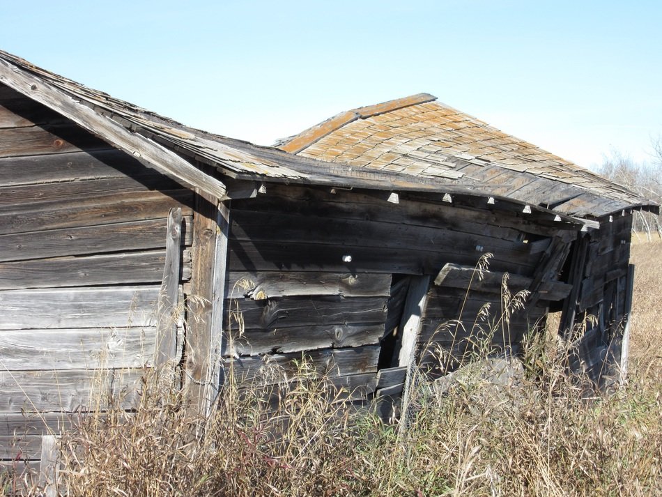 alberta barn board texture ghostly