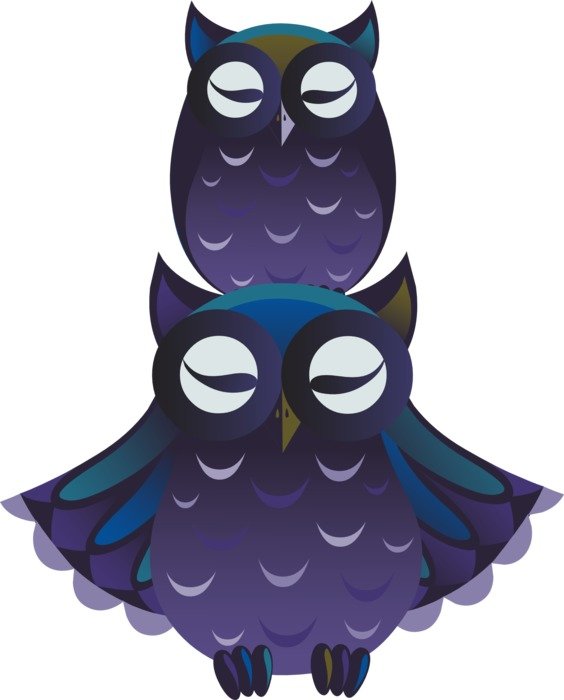 owls birds blue purple violet two
