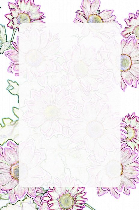 flowers purple green spring