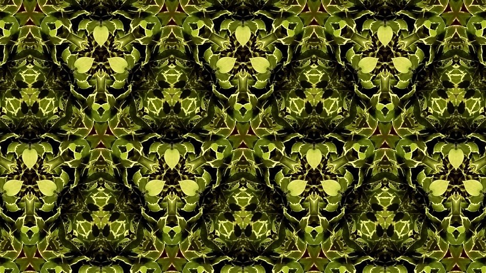 background green abstract leaves