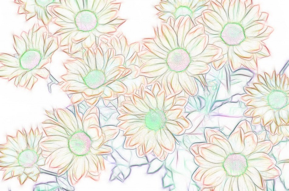 background flowers orange green