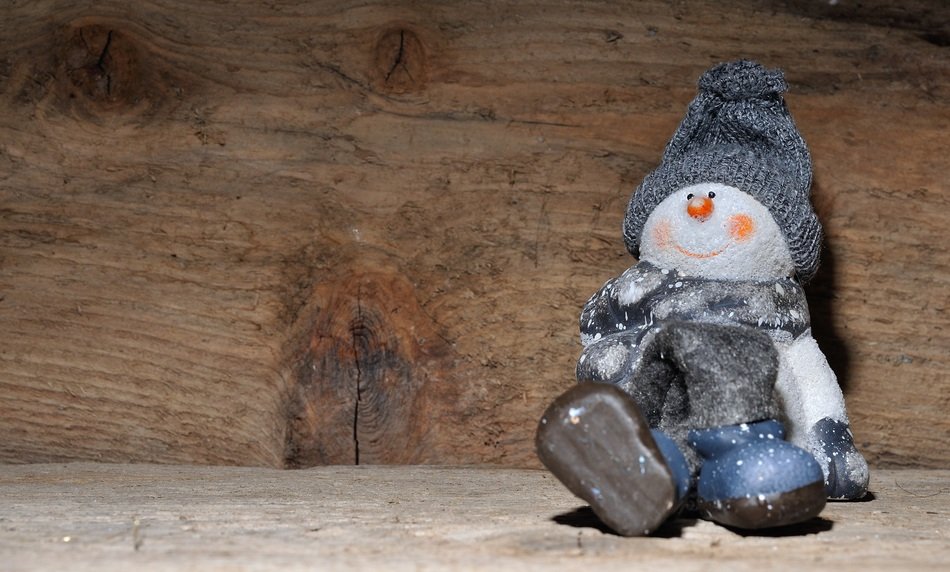 snow man fig peanuts nuts wood