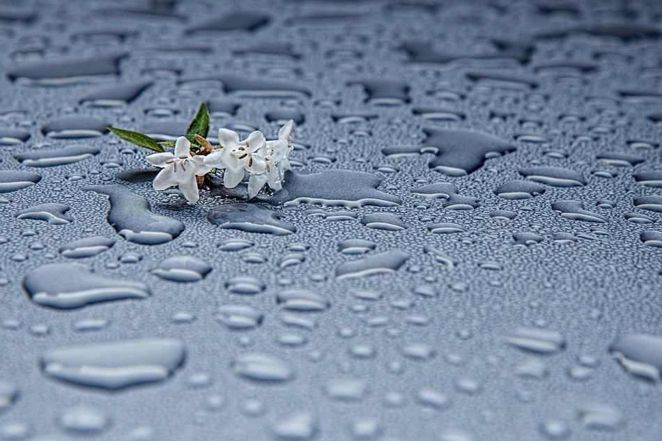 rain drops moisture abstract