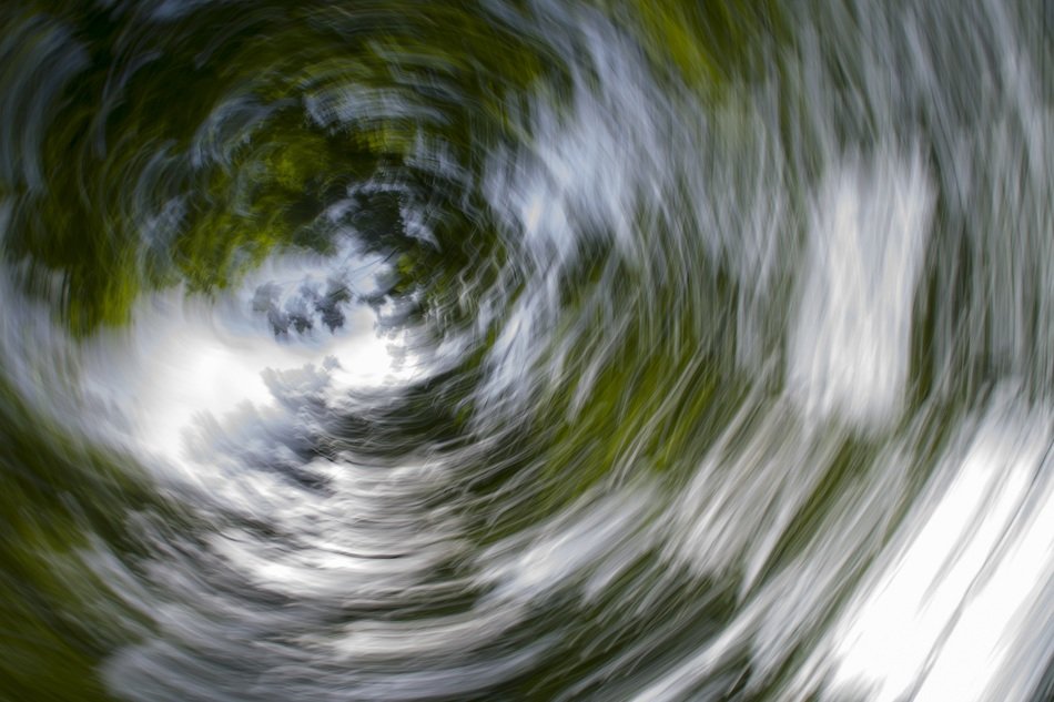 rolling trees on the background