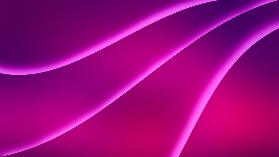 wallpaper colors rosa purple