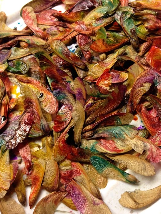 seed art artistic nature