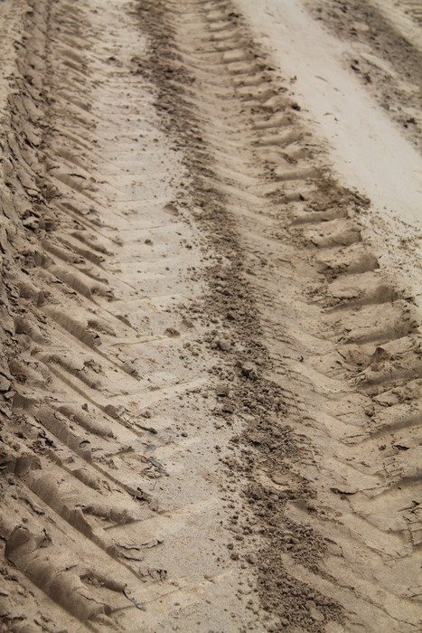 Forest road pattern sand free image download