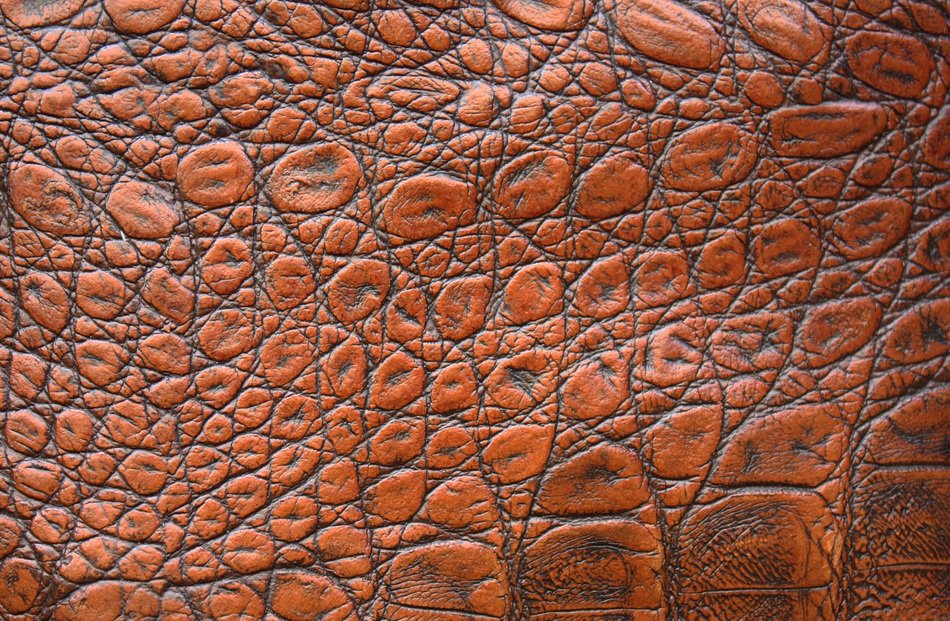 leather skin texture background