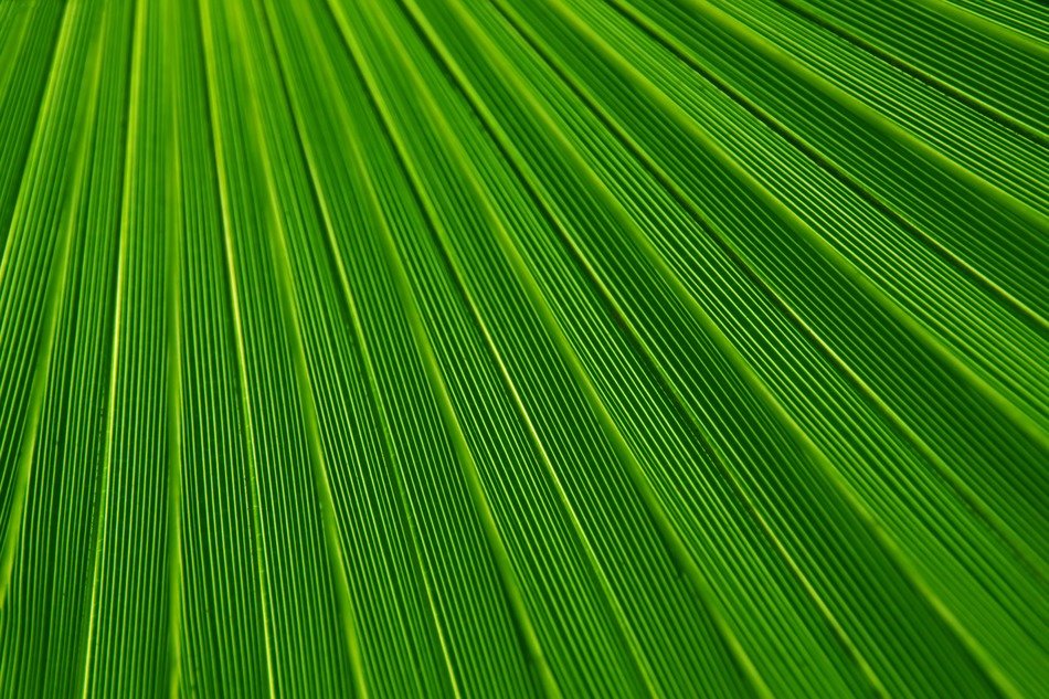 abstract background backgrounds