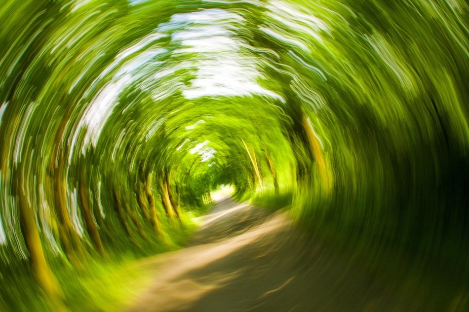 trees away nature eddy turn dizzy