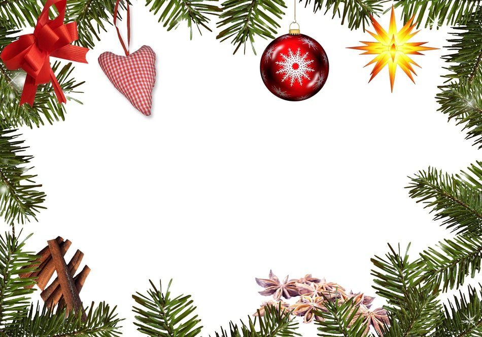frame fir green decoration colorful