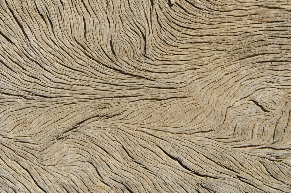 wood veins texture