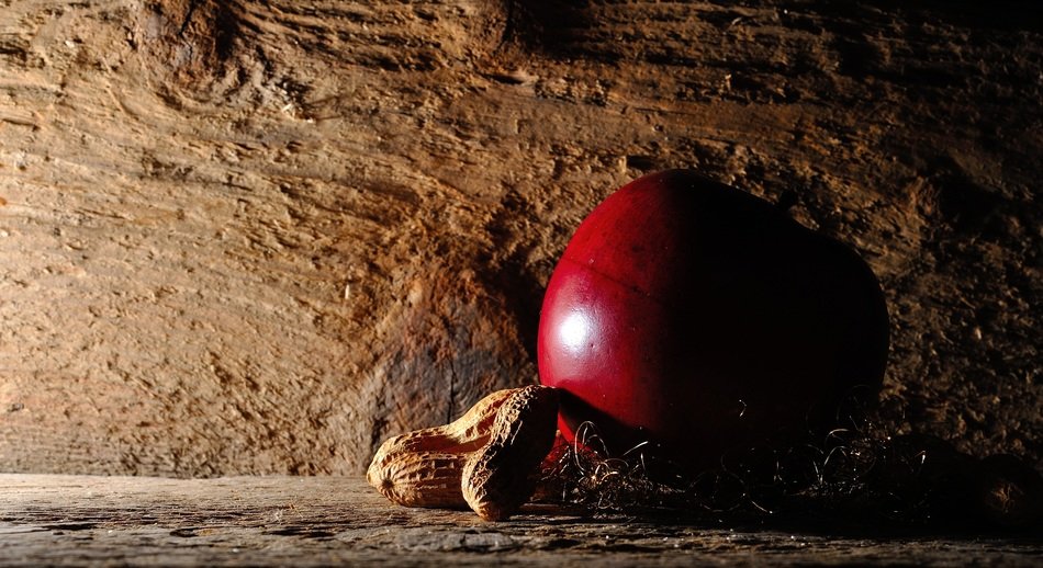 apple christmas peanuts nuts wood