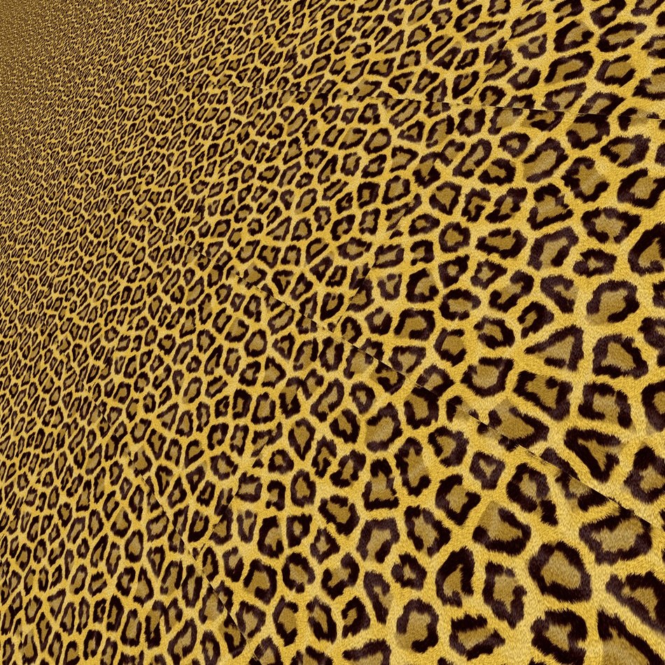 leopard paper background