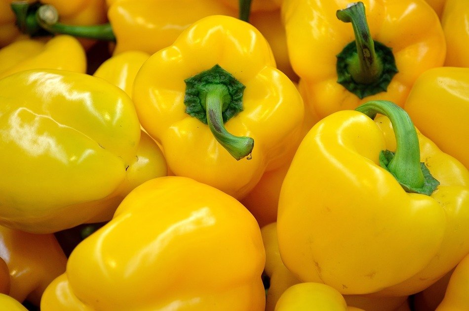 pepper yellow food vegetables