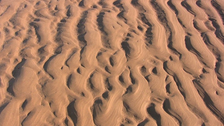 sand beach coast texture vacation