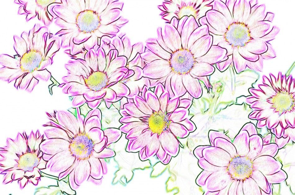 background flowers purple spring