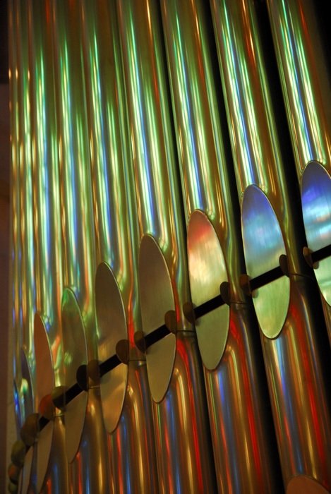 organ whistle barcelona